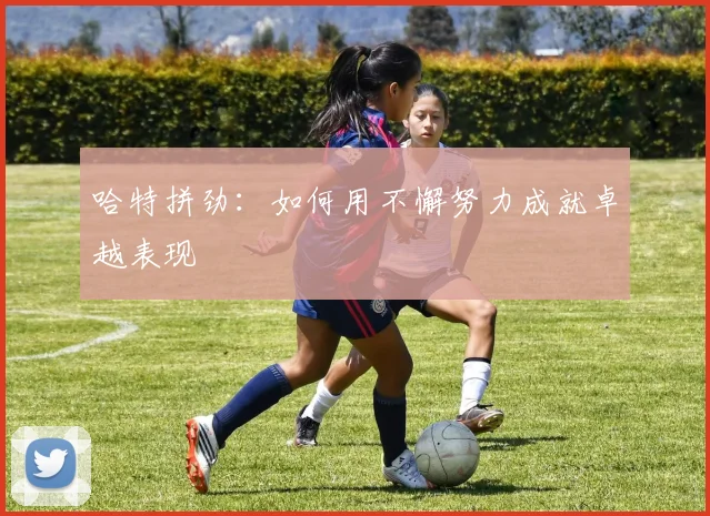 哈特拼劲：如何用不懈努力成就卓越表现