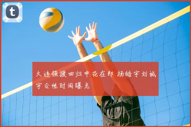 久违强援回归申花在即 杨皓宇刘诚宇合练时间曝光