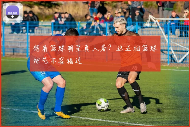 想看篮球明星真人秀？这五档篮球综艺不容错过