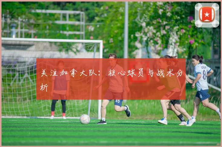 关注加拿大队：核心球员与战术分析