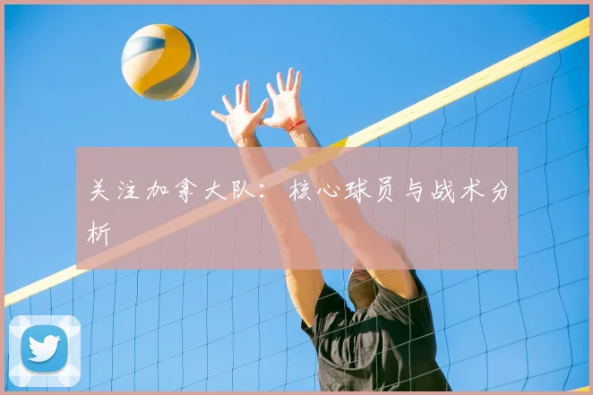 关注加拿大队:核心球员与战术分析